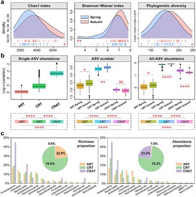 Spatiotemporal distributions, co-occurrence networks, and assembly mechanisms of the bacterial community in sediments of the Yangtze River: comprehensive insights into abundant and rare taxa